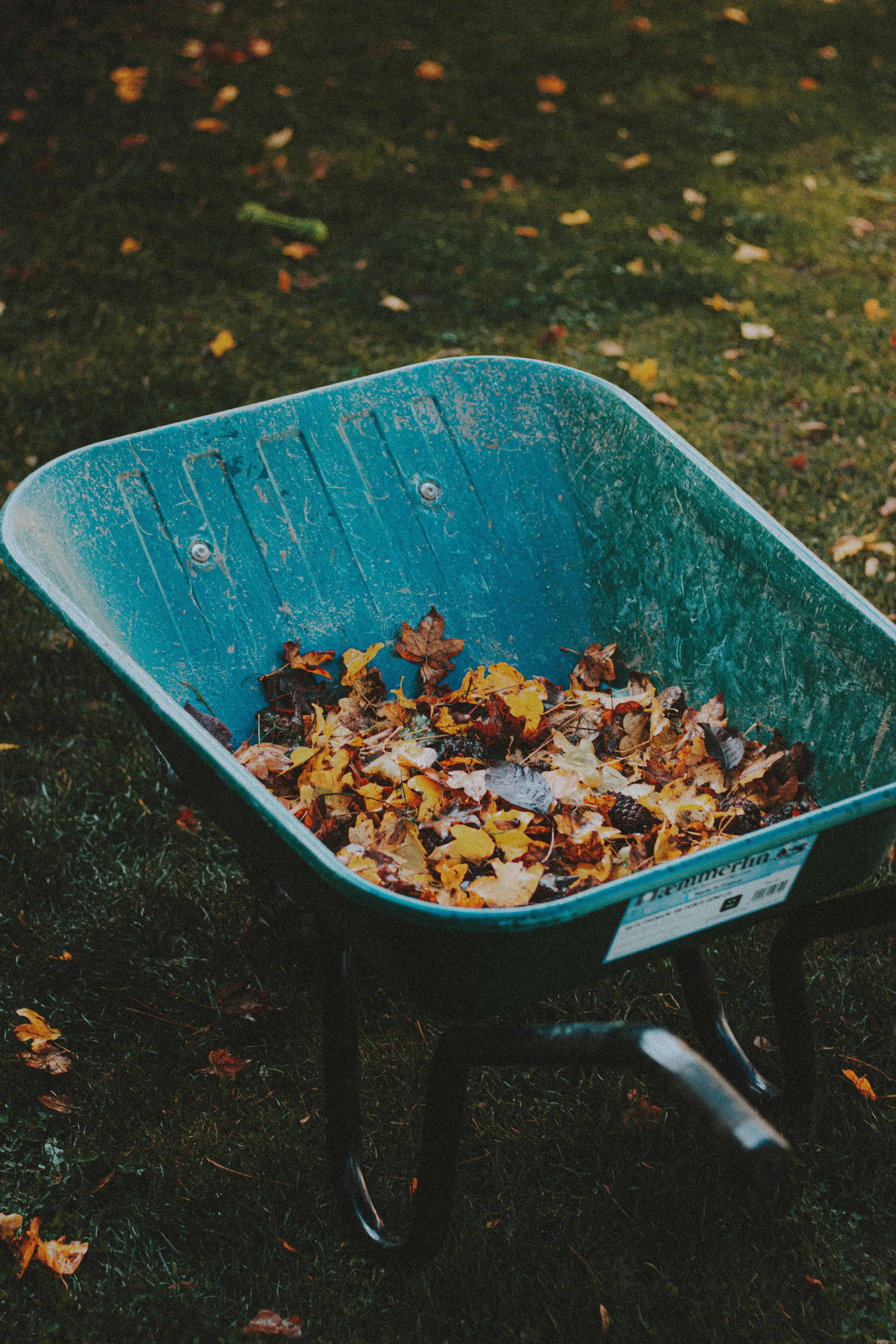 Spring and Fall Clean Ups image