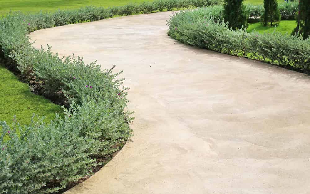 Paver Washing and Sanding image