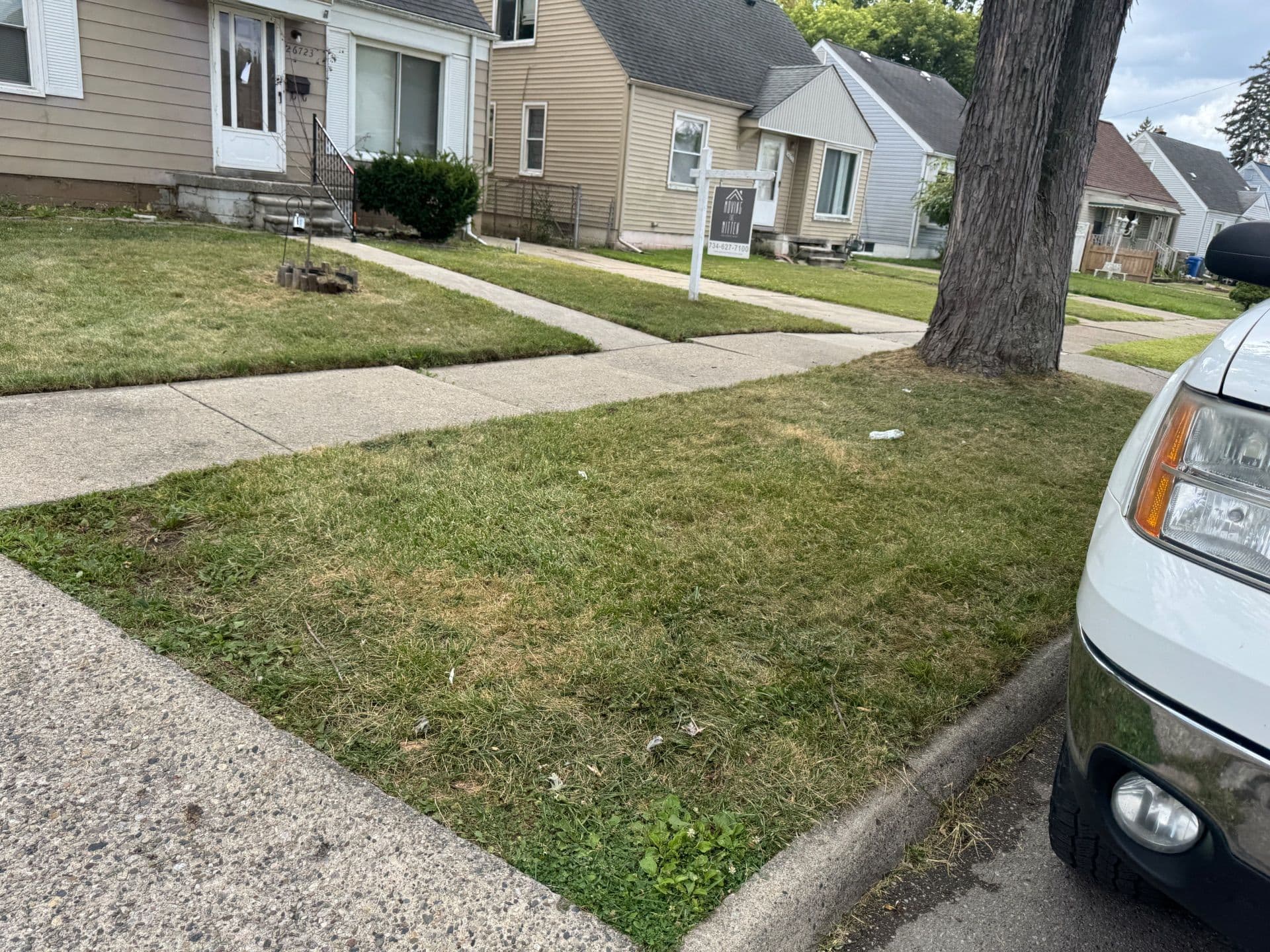 Lawn Transformation for Enhanced Curb Appeal image