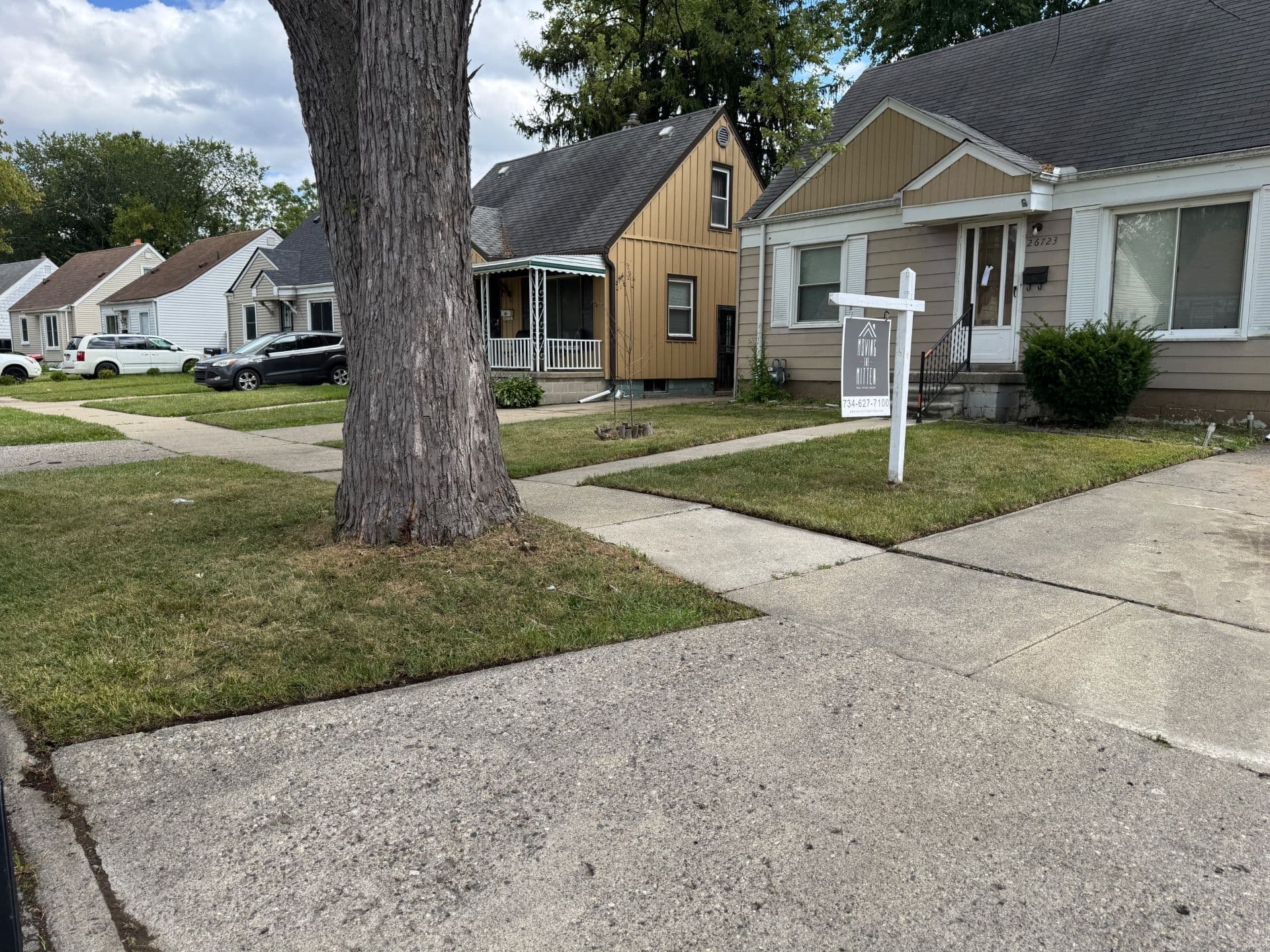 Gallery photos for Lawn Transformation for Enhanced Curb Appeal: Image #1