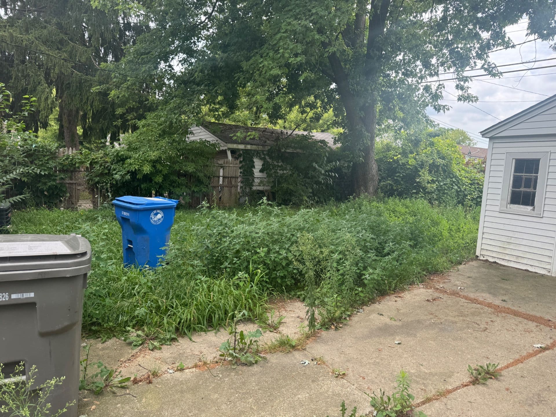Gallery photos for Lawn Transformation for Enhanced Curb Appeal: Image #4