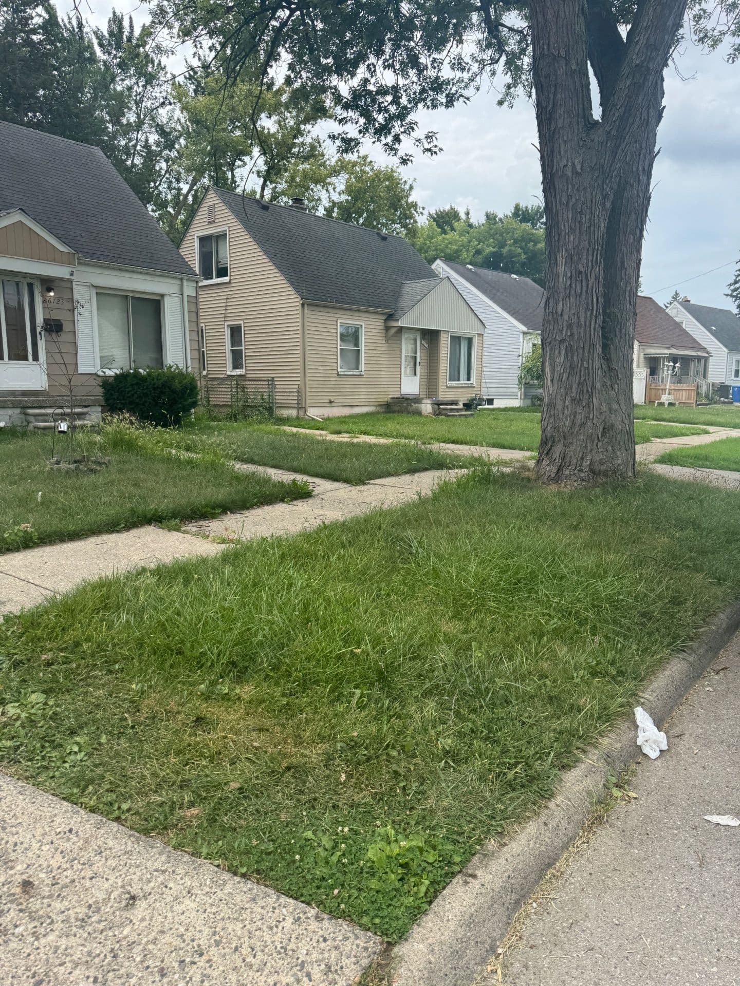Gallery photos for Lawn Transformation for Enhanced Curb Appeal: Image #2