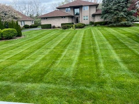 Gallery photos for Transform Your Outdoor Space with Reset Landscaping: Image #1