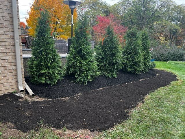 Gallery photos for Transform Your Outdoor Space with Reset Landscaping: Image #2