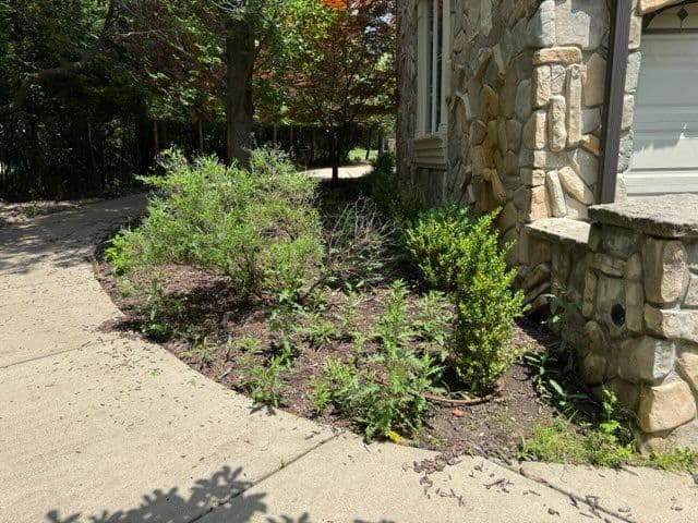 Garden Transformation with Expert Mulch Installation image