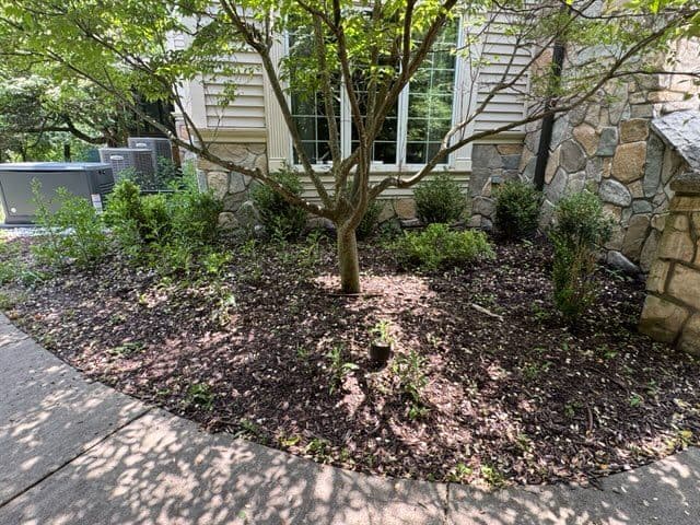 Gallery photos for Garden Transformation with Expert Mulch Installation: Image #2