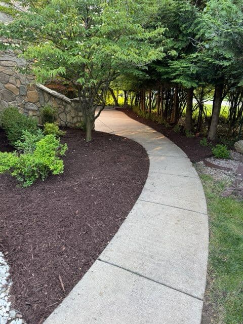 Gallery photos for Garden Transformation with Expert Mulch Installation: Image #3