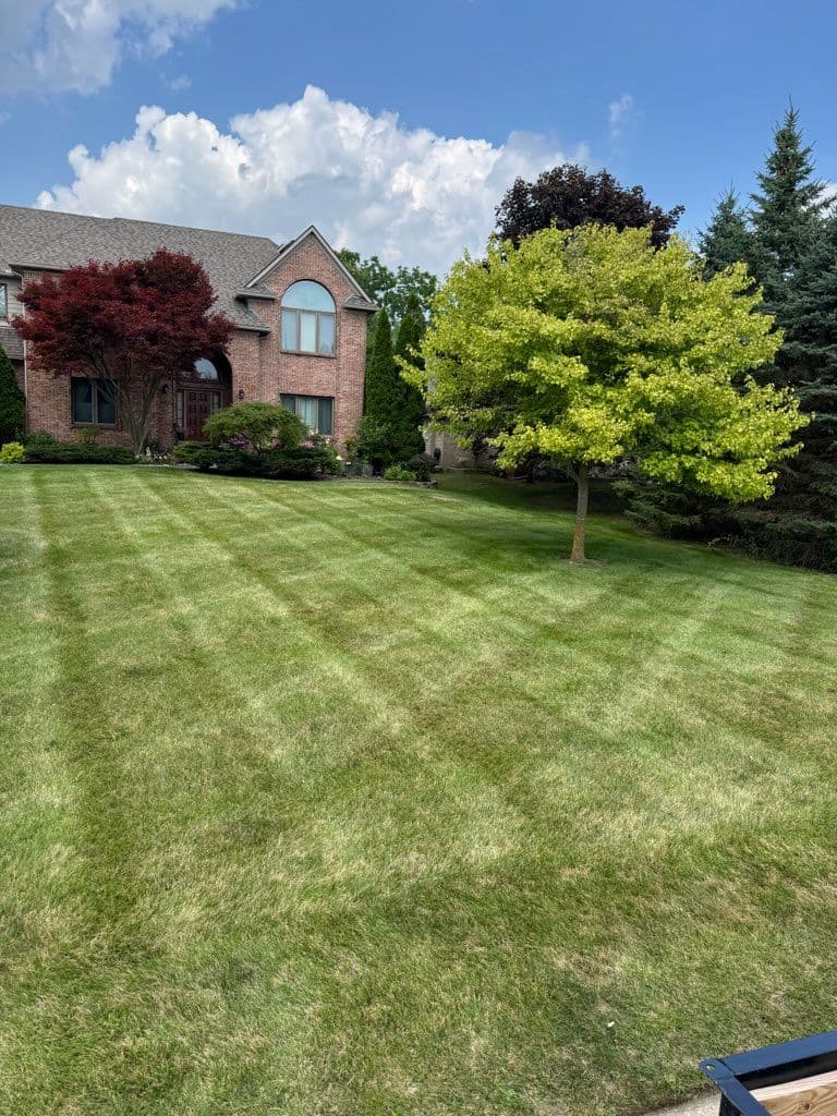 Achieve Curb Appeal with Reset Landscaping image
