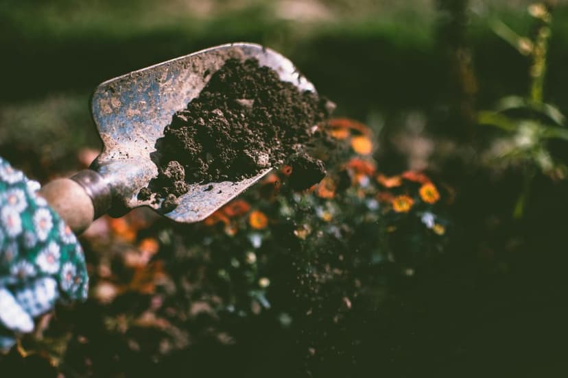 Eco-Friendly Landscaping Solutions's image